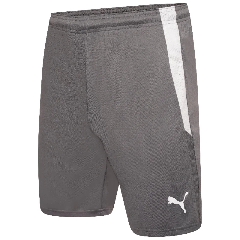 Puma Team Liga Football Short (Smoked Pearl/White)