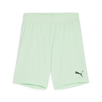 Puma TeamGOAL Football Short (Fresh Mint/Black)